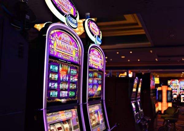 bet555