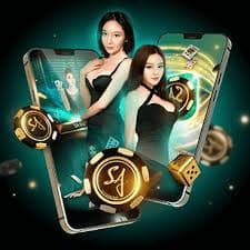 bet555