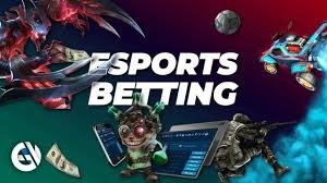 bet555